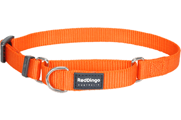 Martingale Dog Collars - Classic (Solid)