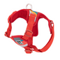Forte Step In Harness