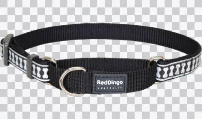 Martingale Dog Collars - Reflective