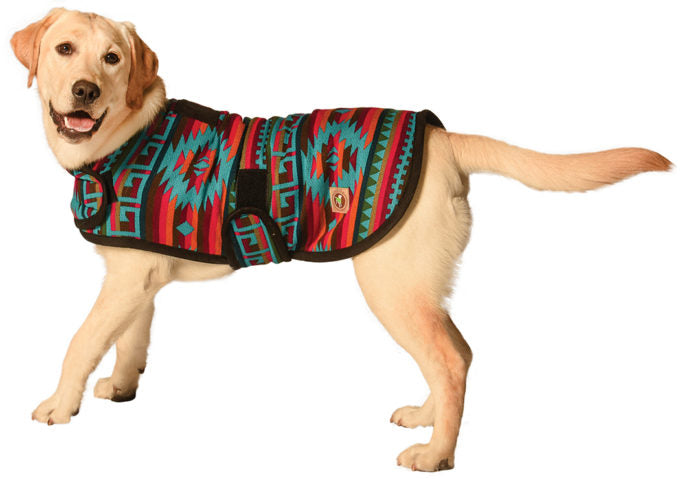 Labrador retriever wearing a colorful dog coat with a geometric pattern