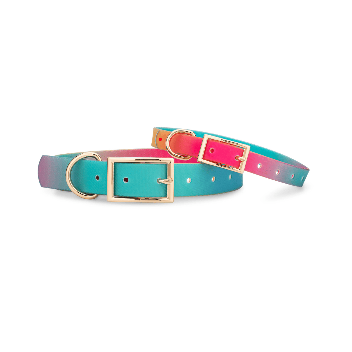 Pippa All Weather Dog Collar