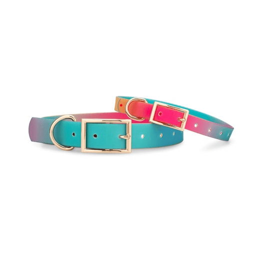 Pippa All Weather Dog Collar