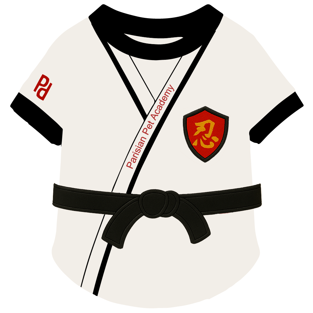Karate Academy - Original