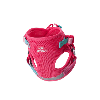 Stasia Cat Harness & Leash Set