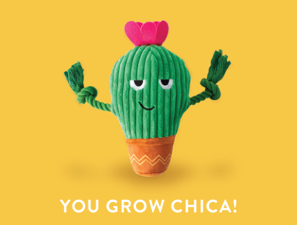 YOU GROW CHICA! PLUSH DOG TOY Case of 4