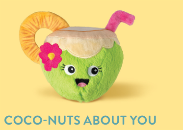 COCONUTS ABOUT YOU PLUSH DOG TOY Case of 4