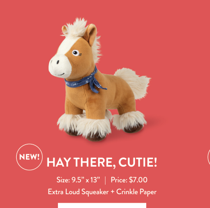 HAY THERE CUTIE PLUSH DOG TOY Case of 4