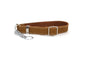 Leather Martingale Collar
