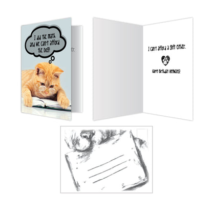 Cat Birthday Cards (Pack of 6)