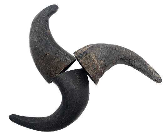 Water Buffalo & Goat Horns