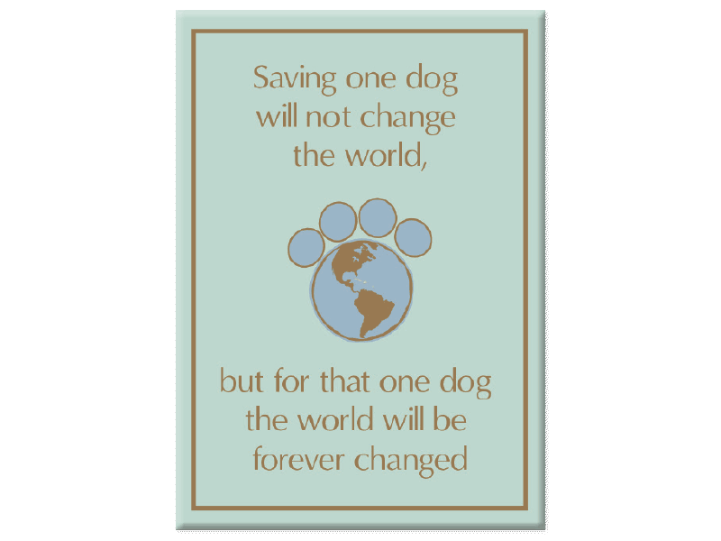 Rectangle Magnet (Pack of 4)