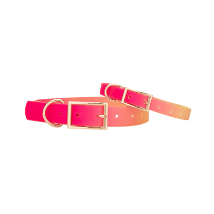 Katelin All Weather Dog Collar
