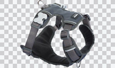 Padded Dog Harnesses
