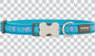 Buckle Bone Dog Collars - Design - Butterfly