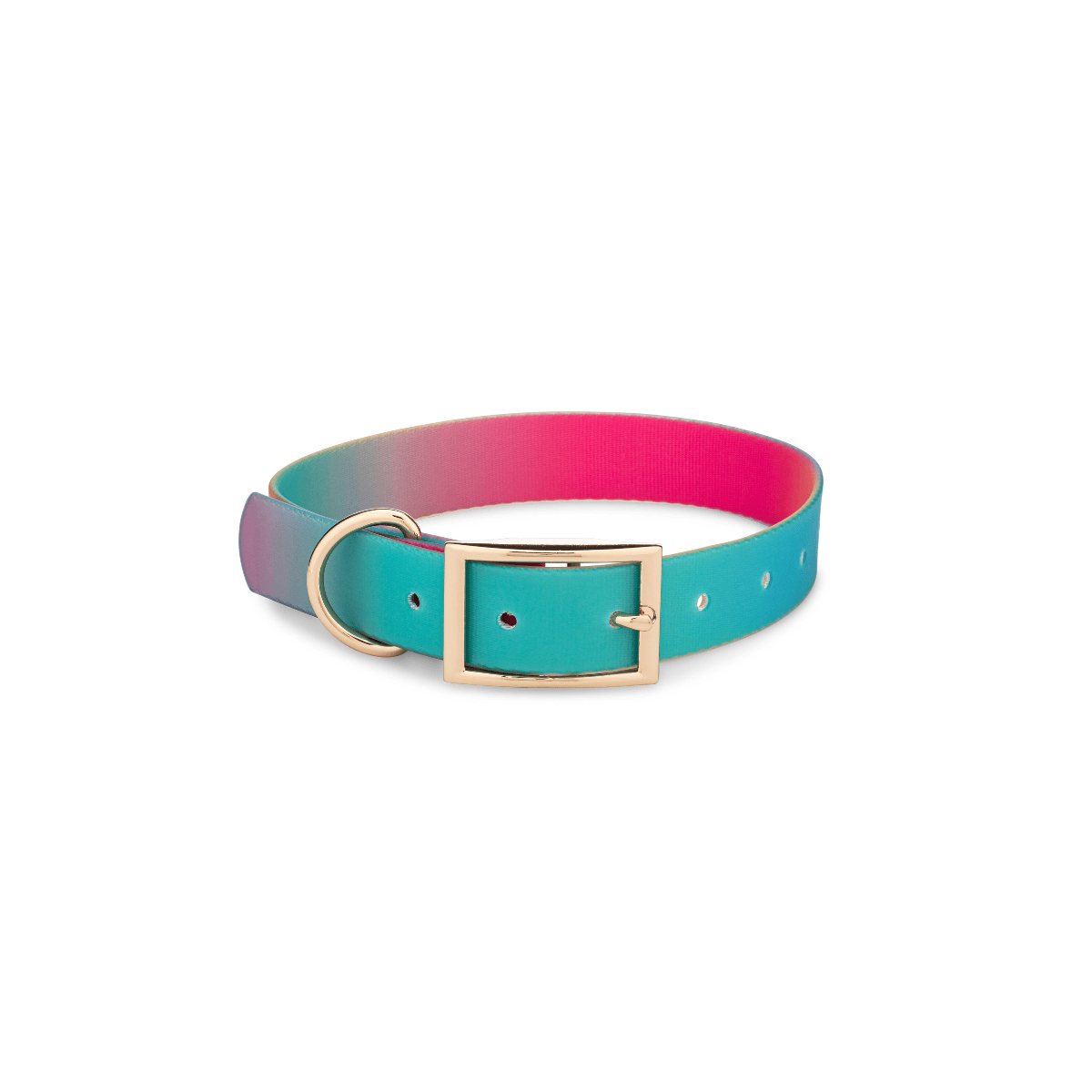 Pippa All Weather Dog Collar
