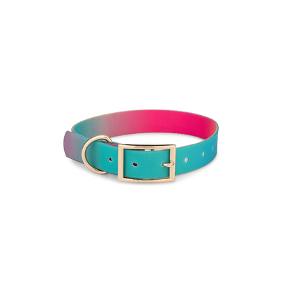 Pippa All Weather Dog Collar