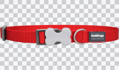 Buckle Bone Dog Collars - Classic (Solid)