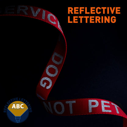 Reflective Nylon Dog Leash
