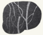 River-Stone cat mats