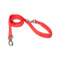 Springer Small & Regular Leash in red with a silver clasp