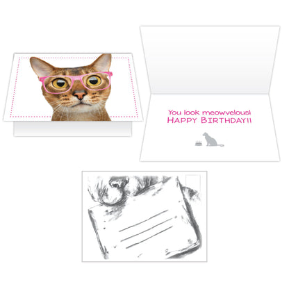 Cat Birthday Cards (Pack of 6)