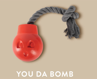YOU DA BOMB RUBBER DOG TOY Case of 4