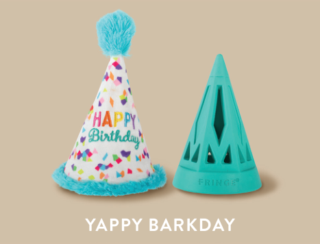 YAPPY BARKDAY RUBBER W/PLUSH DOG TOY Case of 4