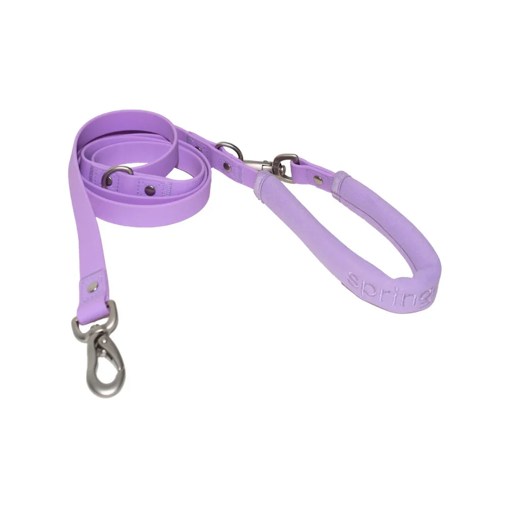 Spring lilac dog leash with silver hardware and a padded handle