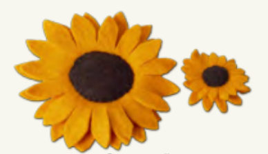 Cat Collars (Accessories)