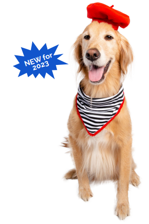 French Beret & Scarf (Onesize)