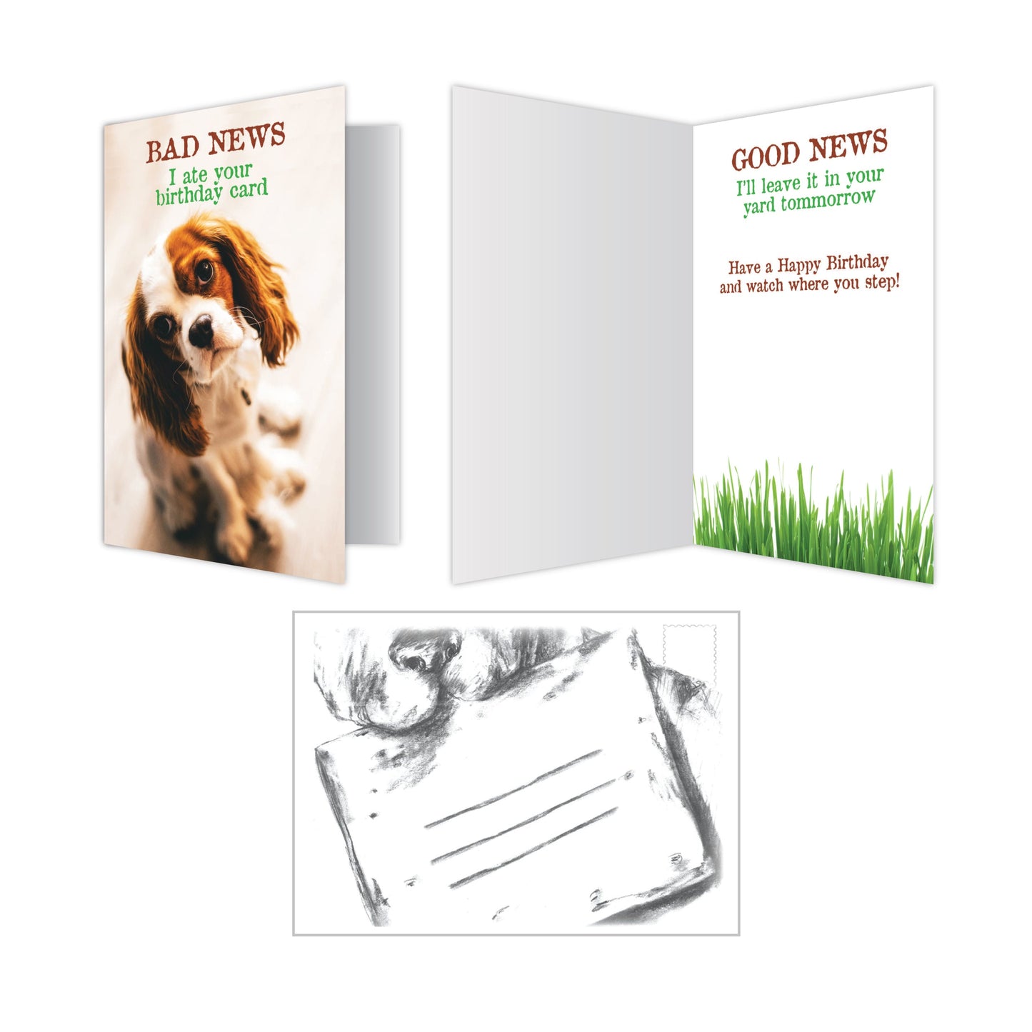 Birthday Cards (Pack of 6)