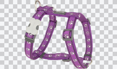 Dog Harness (H-Style) - Design