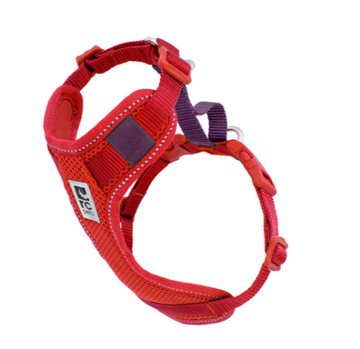 Moto Control Harness