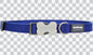 Buckle Bone Dog Collars - Classic (Solid)