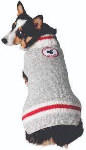 Dog wearing a grey knitted sweater with red and white stripes and a round patch