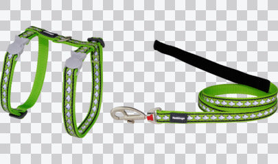 Cat Harness & Leads - Reflective