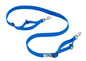 Active Leash Primary