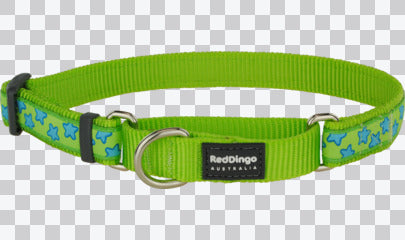 Martingale Dog Collars - Design