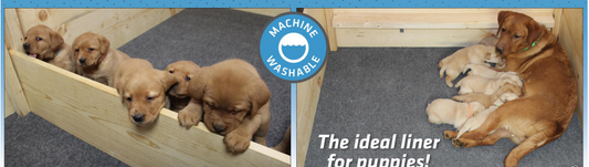 PREMIUM WHELPING MAT