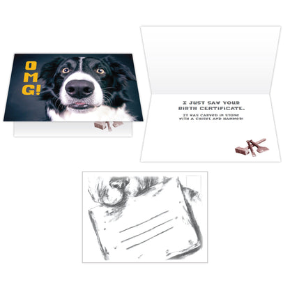 Birthday Cards (Pack of 6)