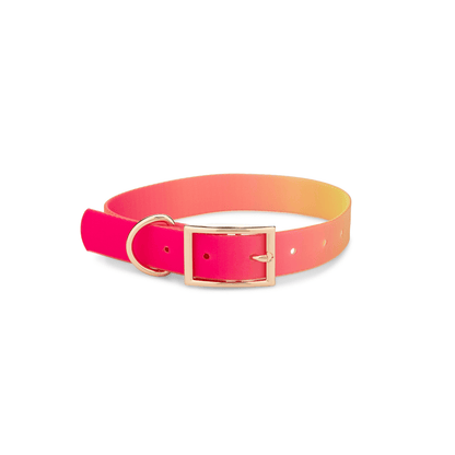 Katelin All Weather Dog Collar