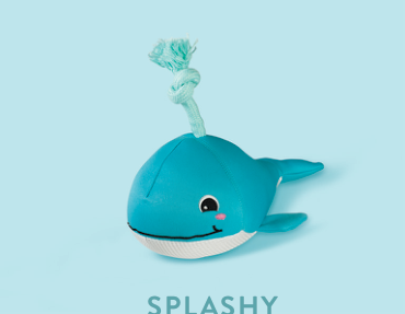SPLASHY FLOATING DOG TOY Case of 4