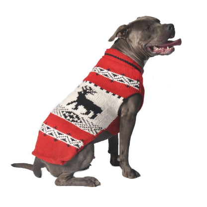 Pitbull dog wearing a red, white, and black Fair Isle sweater with a reindeer design