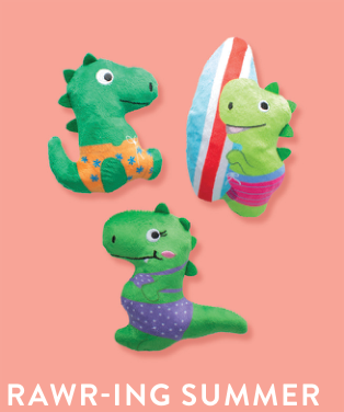 RAWRIN SUMER 3PCS SMALL DOG TOY SET Case of 4