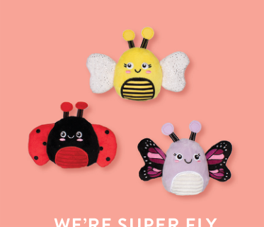 WE'RE SUPER FLY 3 PIECES SMALL DOG TOY Case of 4