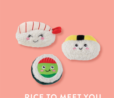RICE TO MET YOU 3PCS SMALL DOG TOY Case of 4