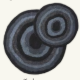 Agate cat mats