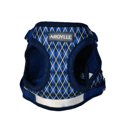 "The True Adventurer" Harness & Leash