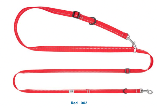 Active Leash Primary