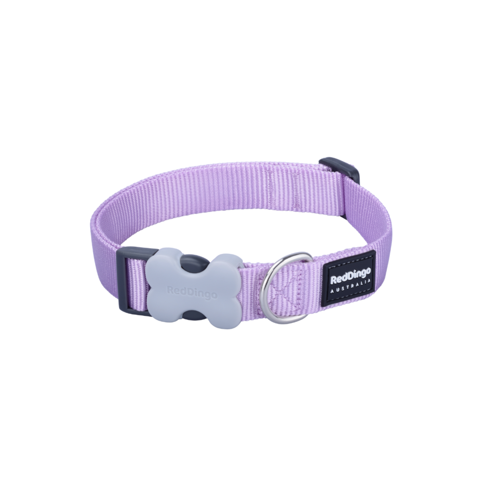 Pastel Purple